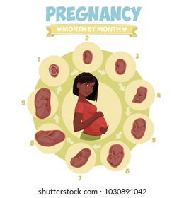 Dark-skinned pregnant  beautiful woman vector infographics. Pregnant woman. Pregnancy by trimester stages vector illustration. Female with fetus in belly.