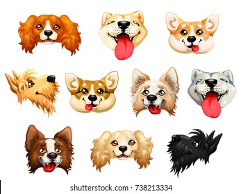 The darling dogs breed Cocker Spaniel, Border Collie, Welsh Corgi, Scottish Terrier, Akita, Inu color red, yellow and other. A cartoon vector illustration isolated on white.