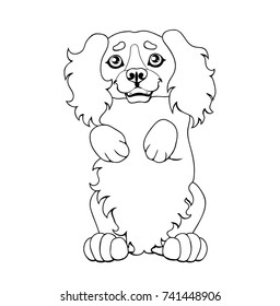 The darling puppy light-red Cocker Spaniel costs on hinder legs. A contour line vector illustration separately on white, page coloring book, square.