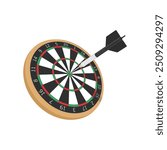 Dart boards. Classic Darts Board with twenty black and white sectors. Game concept.