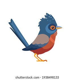 Dartford warbler birds is a typical warbler from the warmer parts of western Europe. Scientific name: Curruca UNdata. Cartoon flat style beautiful character of ornithology, vector illustration.