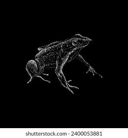 darwin's frog hand drawing vector isolated on black background.