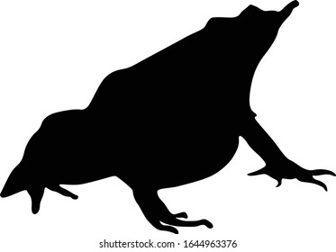 Darwin's Frog (Rhinoderma Darwinii) Silhouette Vector Found In Map Of South America