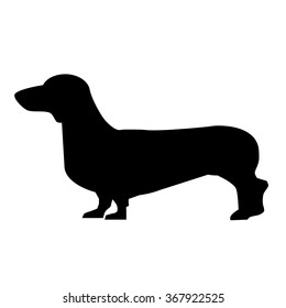 Daschund icon isolated on white background. Vector art.