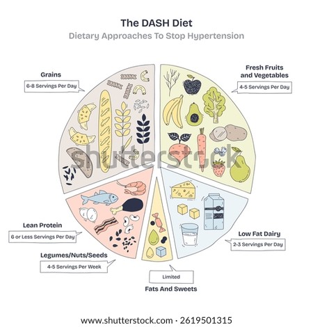 DASH Diet focuses on balanced nutrition with grains, fruits, and proteins. Doodle style diagram.