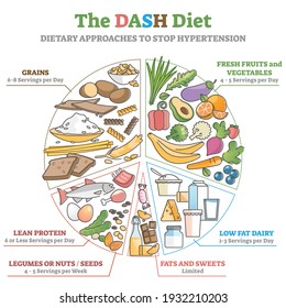 The DASH food diet as dietary approach to stop hypertension outline diagram. Lower blood pressure with healthy eating and correct portion amount in educational labeled pie graphic vector illustration.