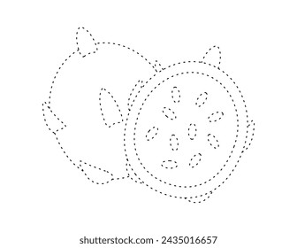 dashed dragon fruit outline for coloring book template, dragon fruit for kids illustration worksheet printable