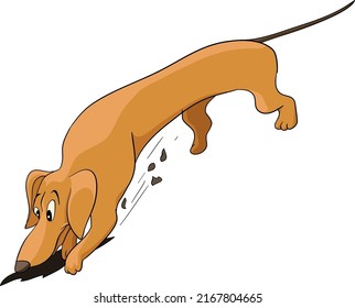 Dashund dog digs a hole looking for fun drawing vector illustration, hotdog, hot dog,