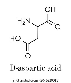 D-aspartic acid (D-aspartate) amino acid molecule. Skeletal formula.