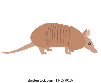 Dasypus. Isolated vector illustration