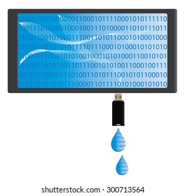 data leaking from a computer screen via usb storage device 