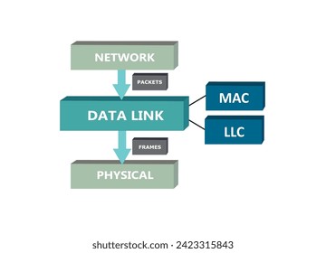 Data link sub layers, OSI model, vector