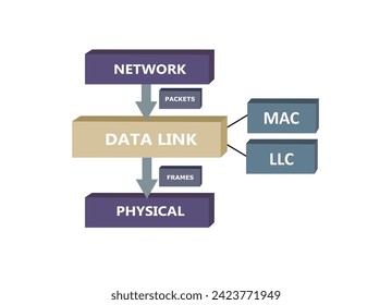 Data link sub layers, OSI model, vector