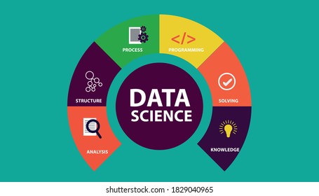 Data Science Infographics Vector Illustration Data Stock Vector ...