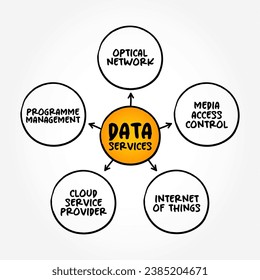 Data Services - self-contained units of software functions that give data characteristics it doesn't already have, mind map text concept background