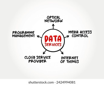 Data Services - self-contained units of software functions that give data characteristics it doesn't already have, mind map text concept background