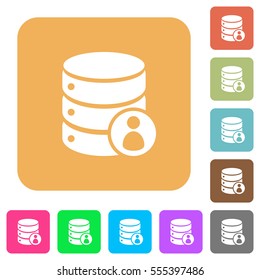 Database privileges flat icons on rounded square vivid color backgrounds.