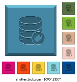 Database tag engraved icons on edged square buttons in various trendy colors