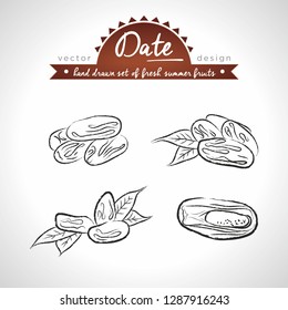 Date of fresh fruits with leaf. Vector illustration. Isolated	
