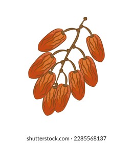 Date Fruit Cartoon Illustration Logo