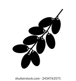 Date fruit icon isolated on white background. Vector illustration.