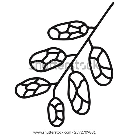 date fruit icon with line art style