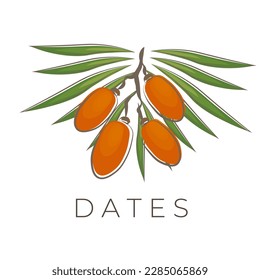 Logotipo De Ilustración De Frutas De Fecha Con Hoja