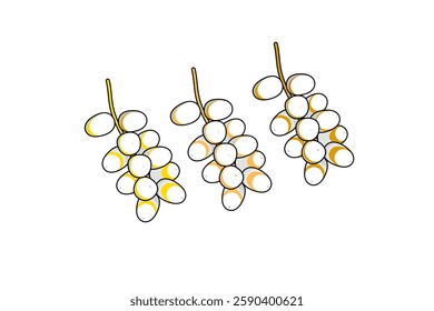 Date fruit logo. Isolated date fruit on white background.Vector illustration, fresh date fruit, isolated