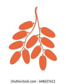 Date fruit logo. Isolated date fruit on white background. EPS 10. Vector illustration

