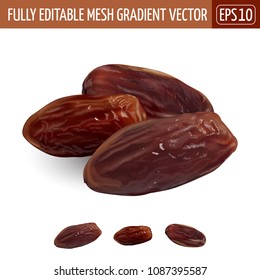 Date fruit, on white background. Vector illustration