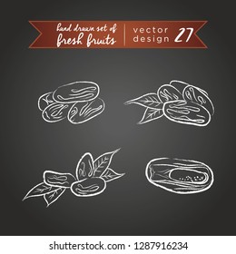 Date fruit. Set of fresh fruits, whole, half and bitten with leaf. Vector illustration. Isolated on blackboard	