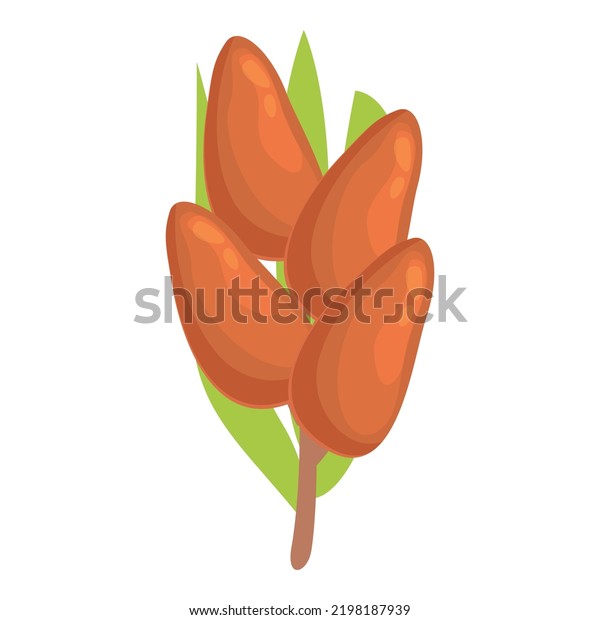 Date Fruit Tree Icon Cartoon Vector Stock Vector Royalty Free 2198187939 Shutterstock 1827