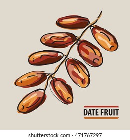 Date Fruit Twig. Islamic Food. Iftar Meal. Hand Drawing Dates