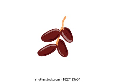 It is a date fruit vector