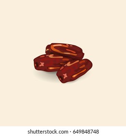 Date Fruit Vector Illustration