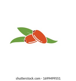 date fruit vector illustration design template