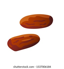 Date fruit Vector illustration of juicy isolated outline colorful fruit