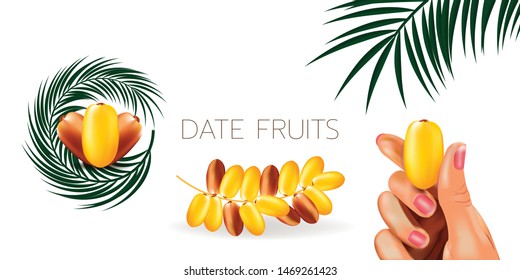 date fruits with palm leaves, Finger picking palms isolated on white background. 