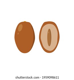 Date fruits. Vector illustration cartoon flat design isolated on white background.