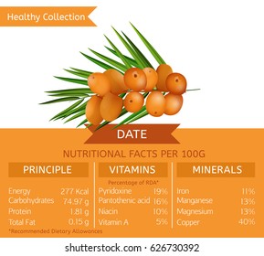 Date health benefits. Vector illustration with useful nutritional facts. Essential vitamins and minerals in healthy food. Medical, healthcare and dietary concept.