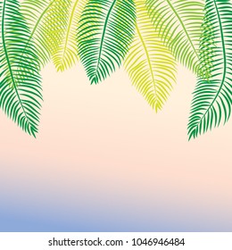The date leaves. Summer and palm trees. Africa and Asia. Southern countries. Set 2