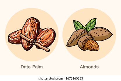 Date palm is a flowering plant species in the palm family, food for symbolizing Ramadan. Almond is the oval nutlike seed (kernel) of the almond tree, growing in a woody shell, has many nutritional val