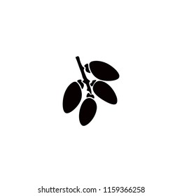 date palm fruit vector