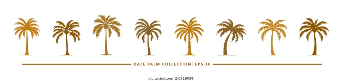 date palm icon collection - flat design icon