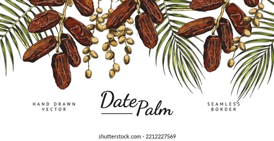 Date palm seamless border, hand drawn sketch vector illustration on white background. Delicious sweet date fruits growing on branch and palm tree branches. Fresh and dried dates banner.