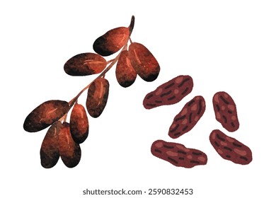 Date palm seamless border, hand drawn sketch vector illustration on white background. Delicious sweet date fruits growing on branch and palm tree branches. Clip art dried red Fresh and dried dates ban