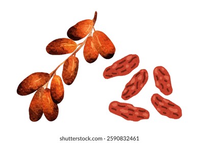 Date palm seamless border, hand drawn sketch vector illustration on white background. Delicious sweet date fruits growing on branch and palm tree branches. Clip art dried red Fresh and dried dates ban
