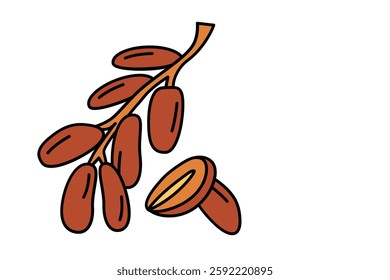 Date palm seamless border, hand drawn sketch vector illustration on white background. Delicious sweet date fruits growing on branch and palm tree branches. Clip art dried red Fresh and dried dates ban