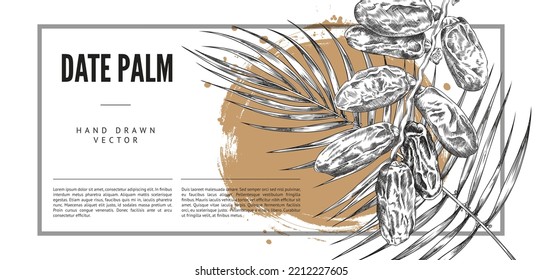 Date palm tree banner template, sketch vector illustration. Hand drawn dried fruits of dates and palm tree branch with leaves. Retro style poster with text.