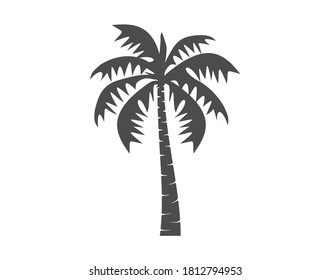 date palm tree icon vector isolated on white